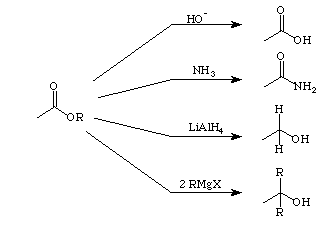 Carboxylic Acid Reactions